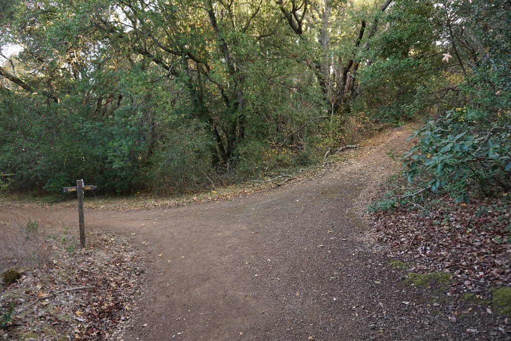 DSC06434