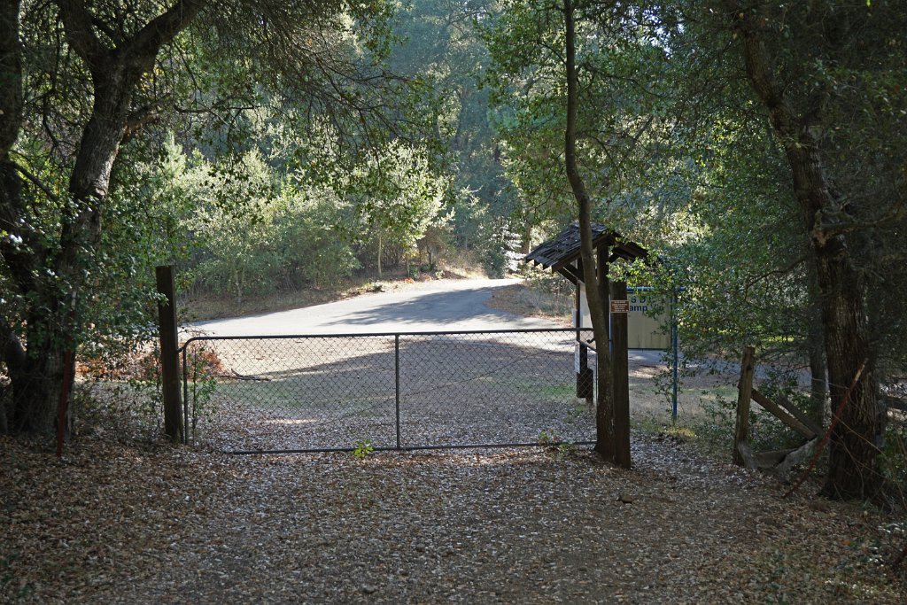 DSC06436