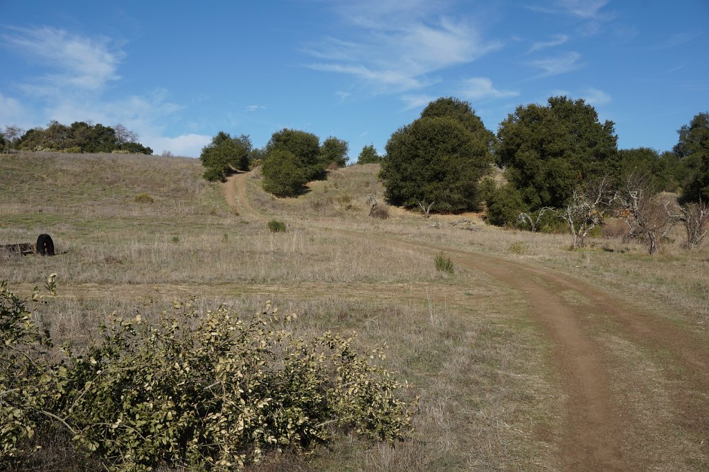 DSC06442