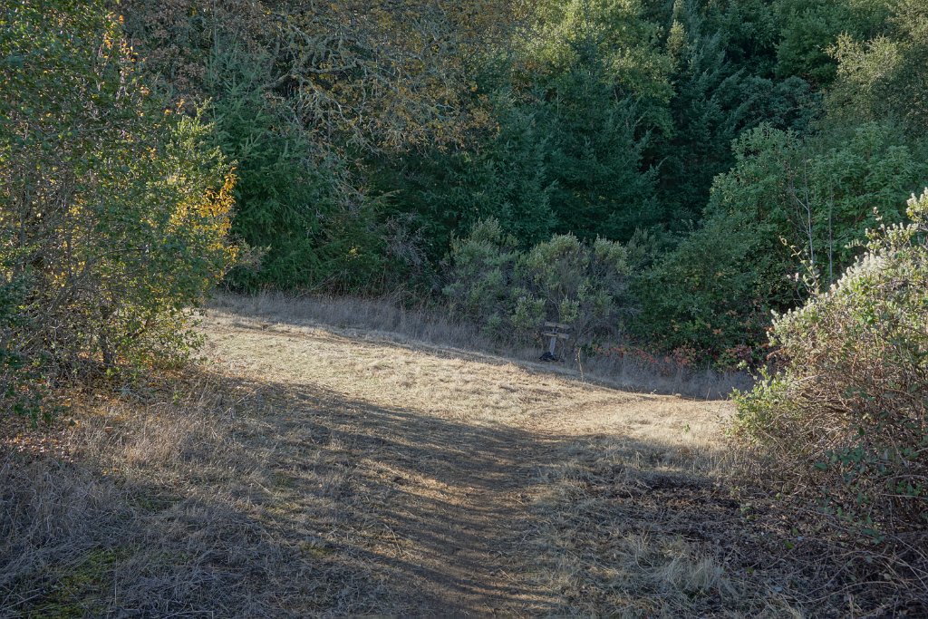 DSC06449