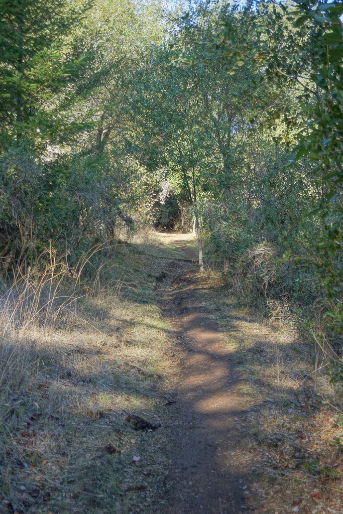 DSC06453
