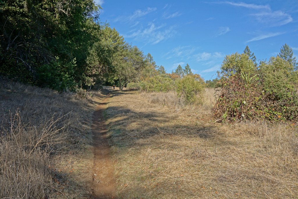 DSC06456