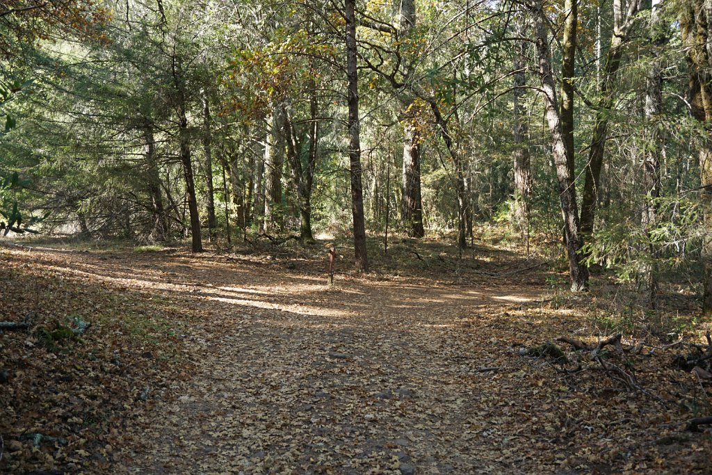 DSC06461