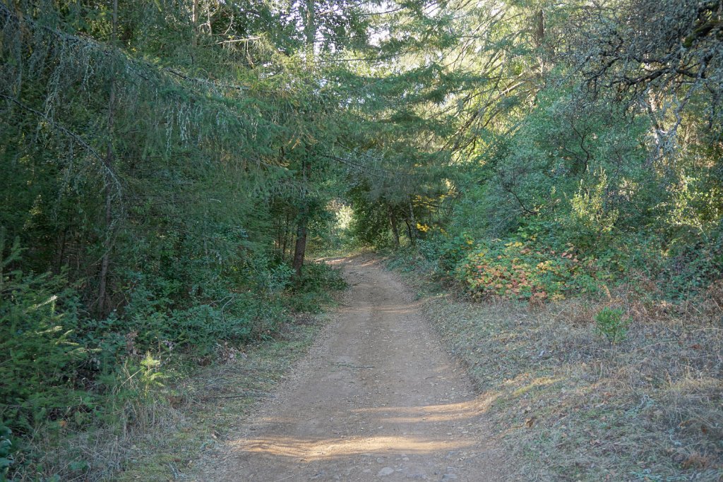 DSC06467