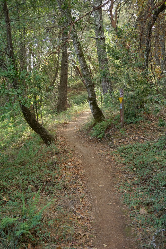 DSC06479