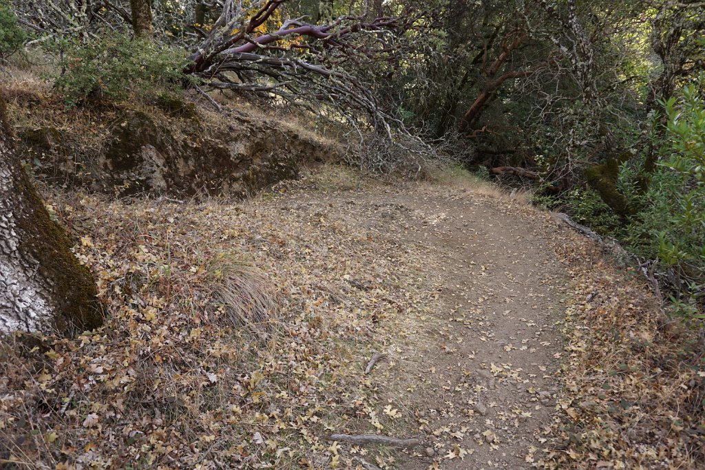 DSC06491
