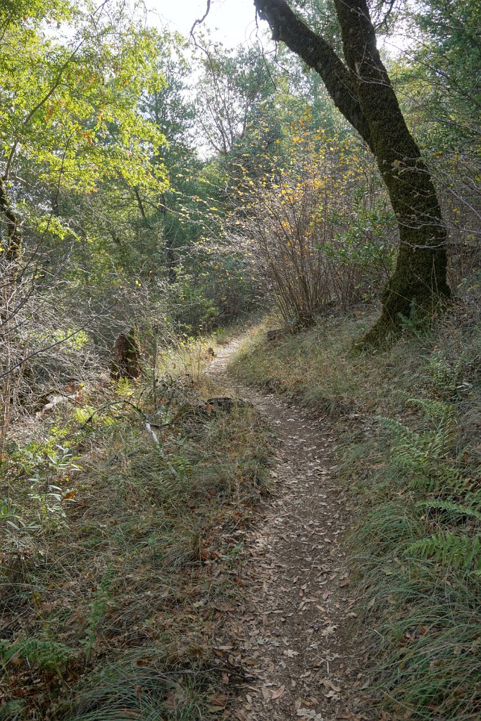 DSC06493