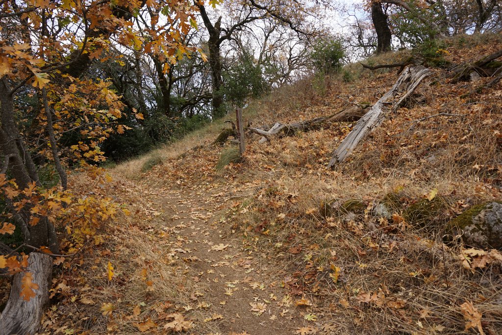 DSC06504