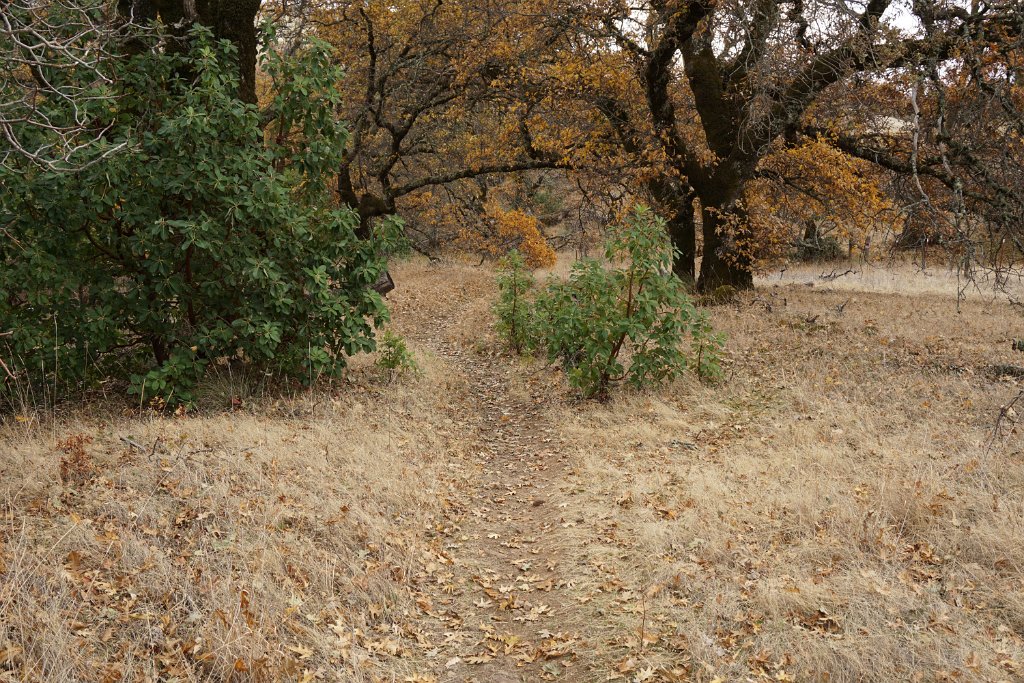 DSC06508