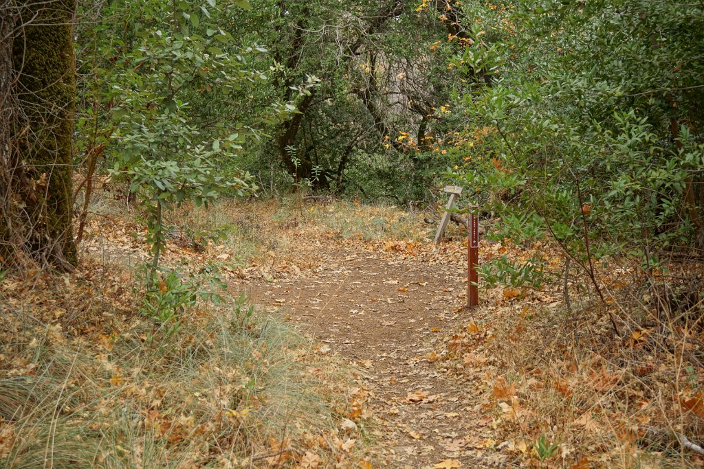 DSC06510