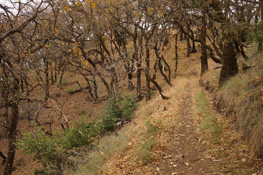 DSC06517