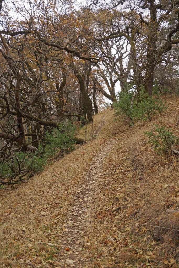 DSC06524