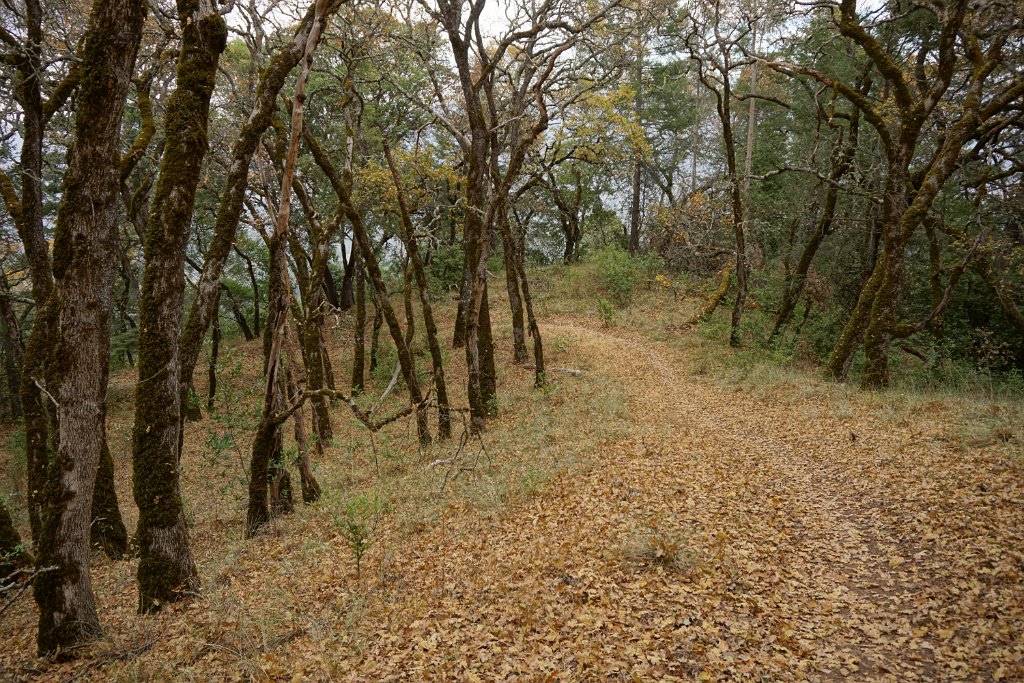 DSC06538