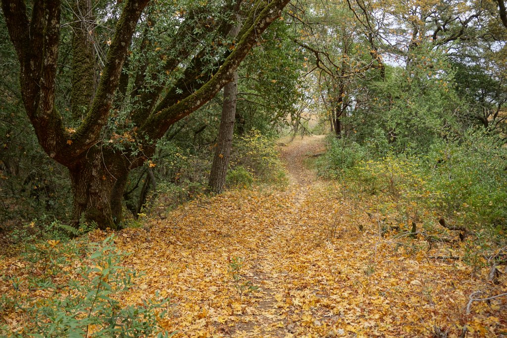 DSC06540