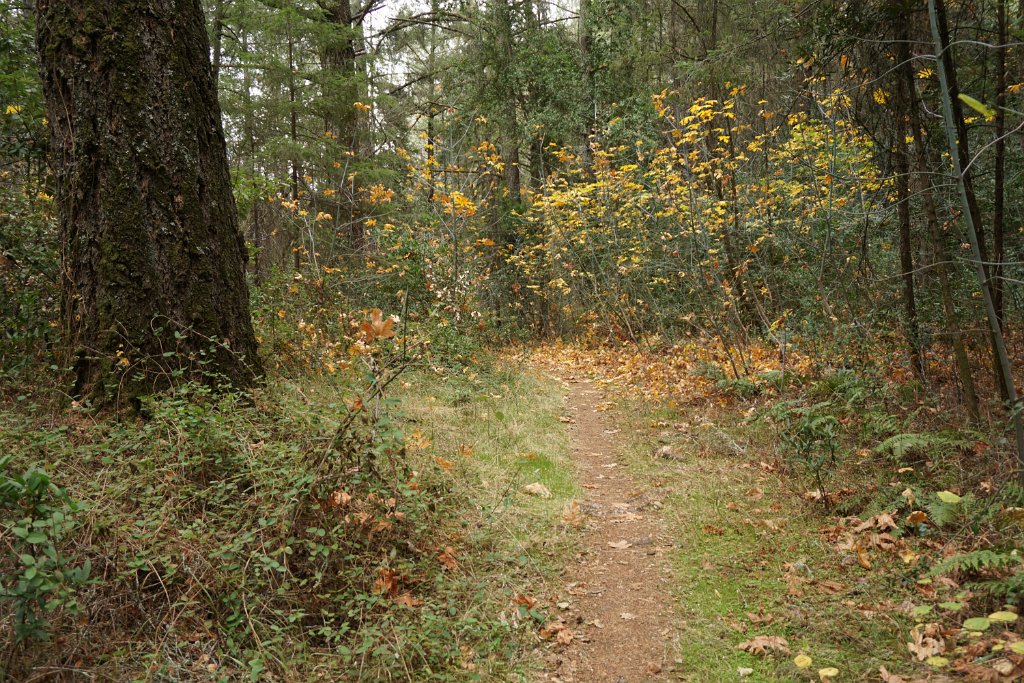 DSC06547