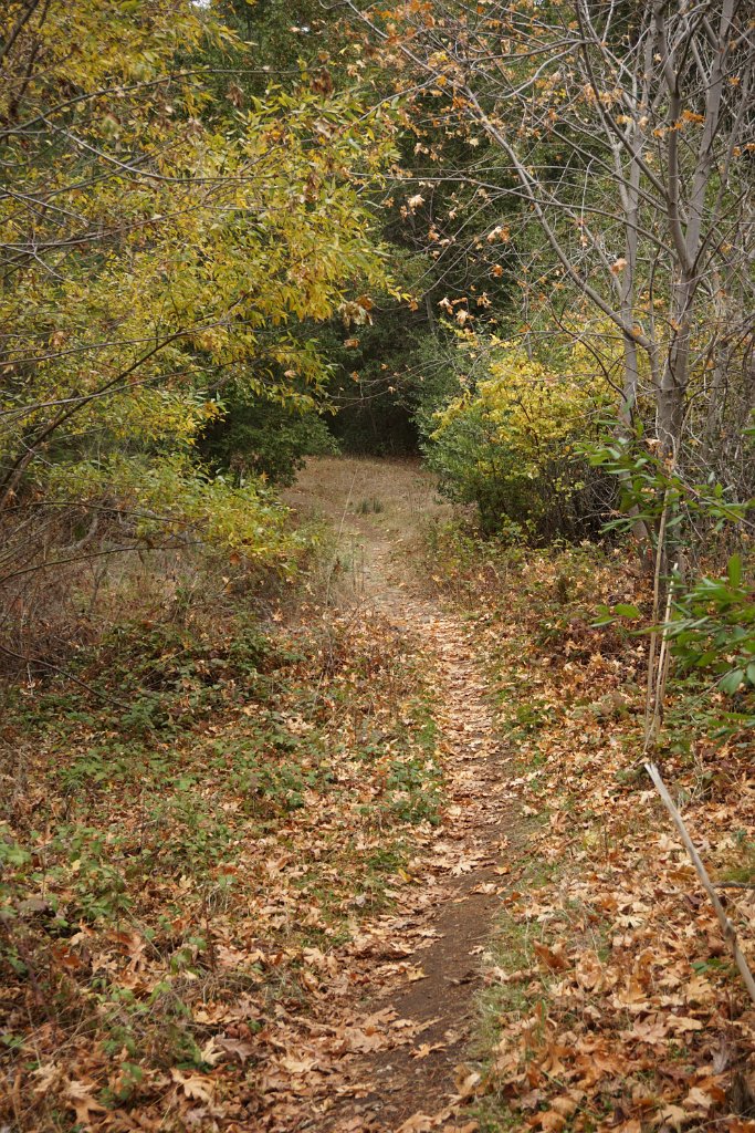 DSC06552