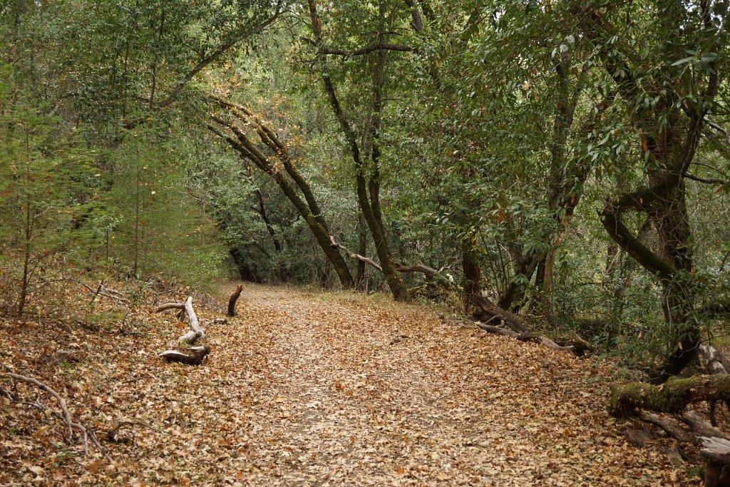 DSC06571