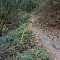 DSC06426