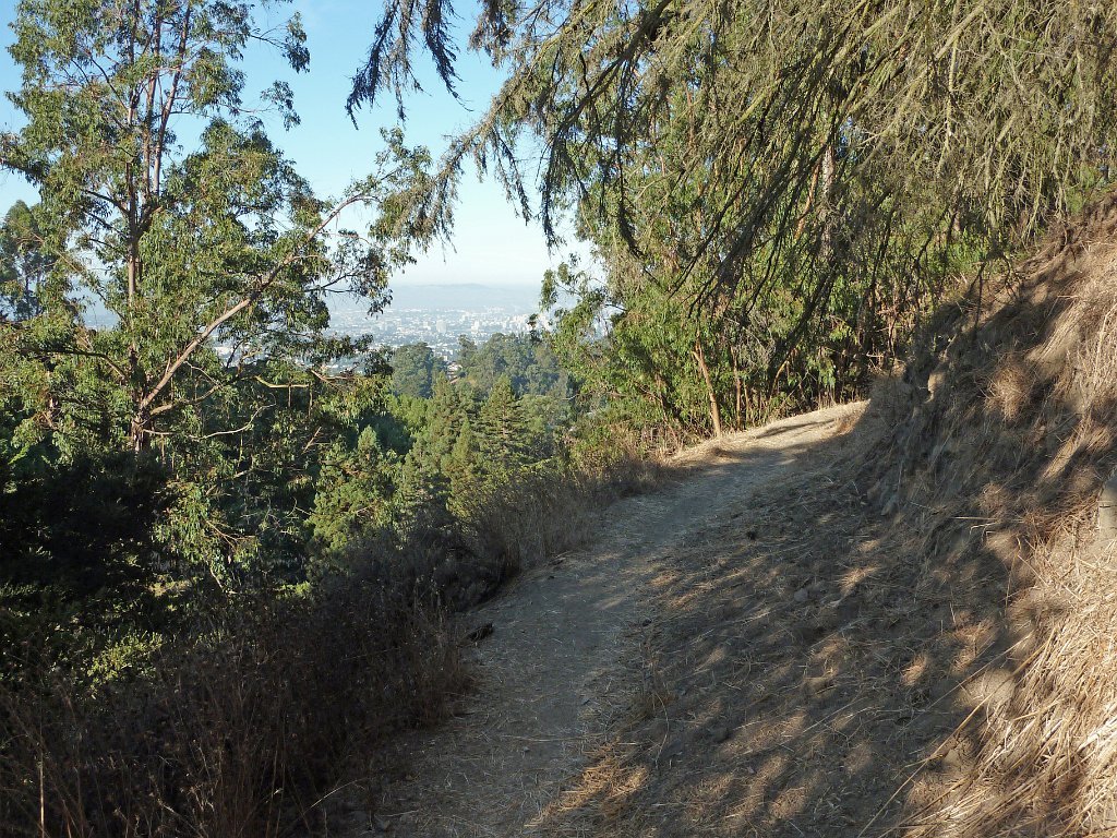 DP1040479