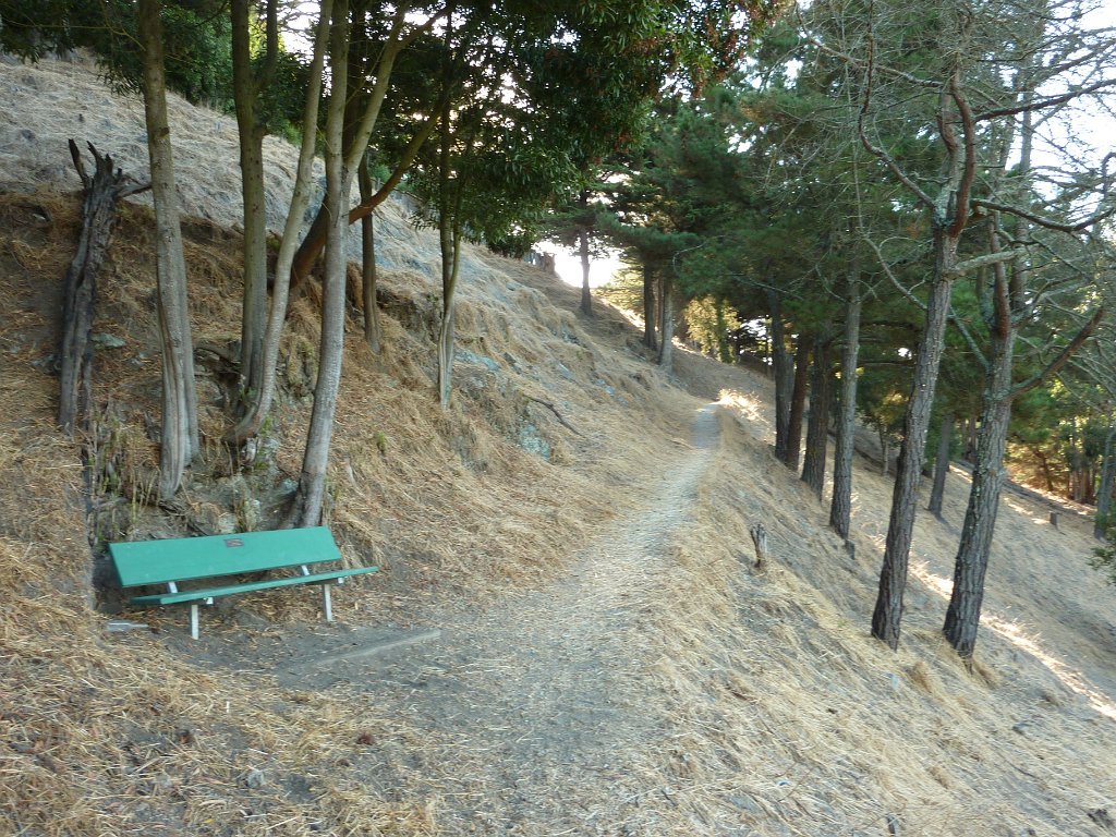 DP1040483