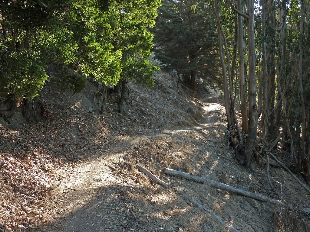 DP1040485