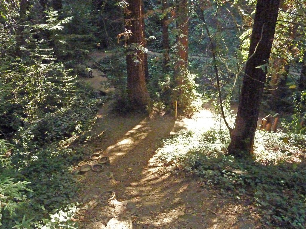 FP1040530