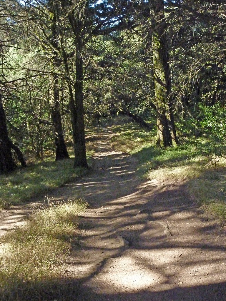 IP1040511