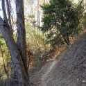 CDSC06899