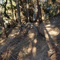 CDSC06903