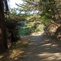 DP1040478
