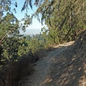 DP1040479