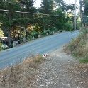 DP1040482
