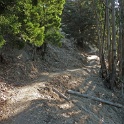 DP1040485