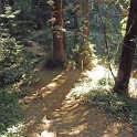 FP1040530