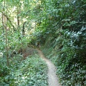 FP1040534