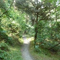 FP1040536