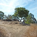 FP1040541
