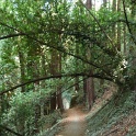 FP1040547