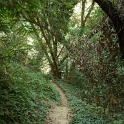 FP1040548