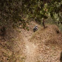 GDSC09857