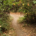 GDSC09858