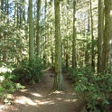 IP1040501