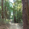 IP1040508