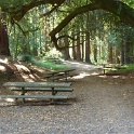 IP1040509