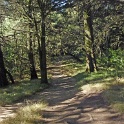 IP1040511