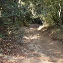 KDSC09869