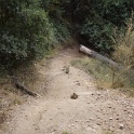 KDSC09871