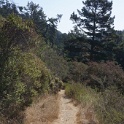 KDSC09882