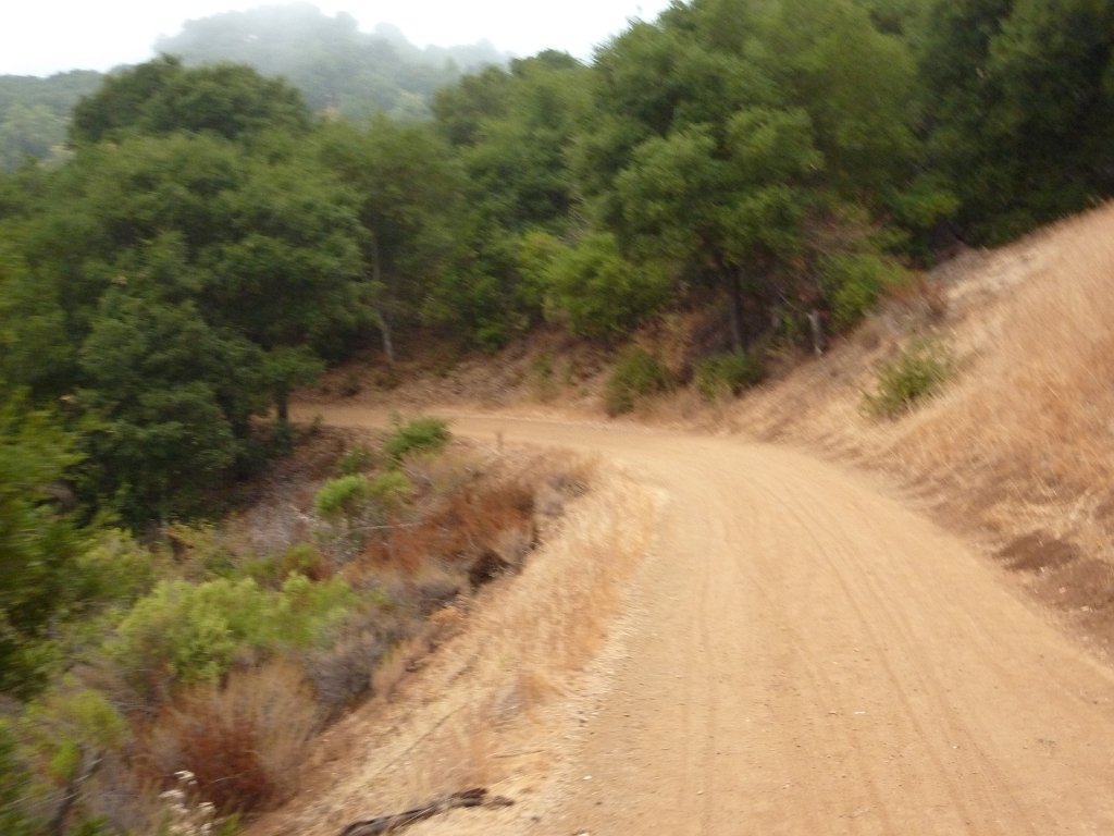 P1040002