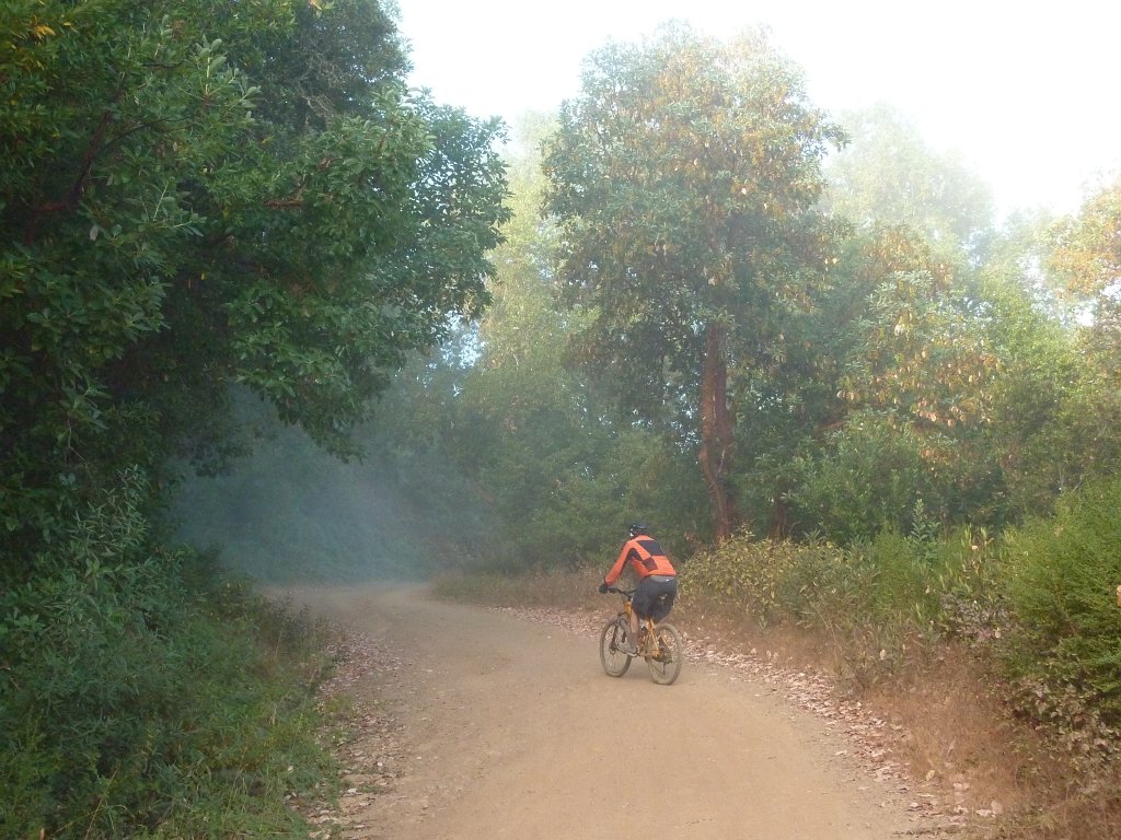 P1040012